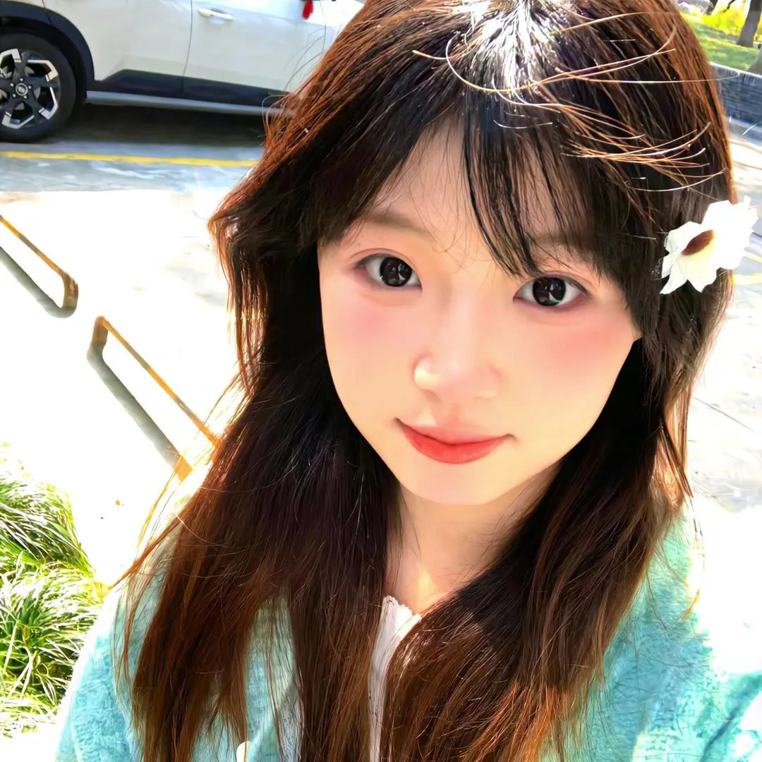 非枪人生第二季